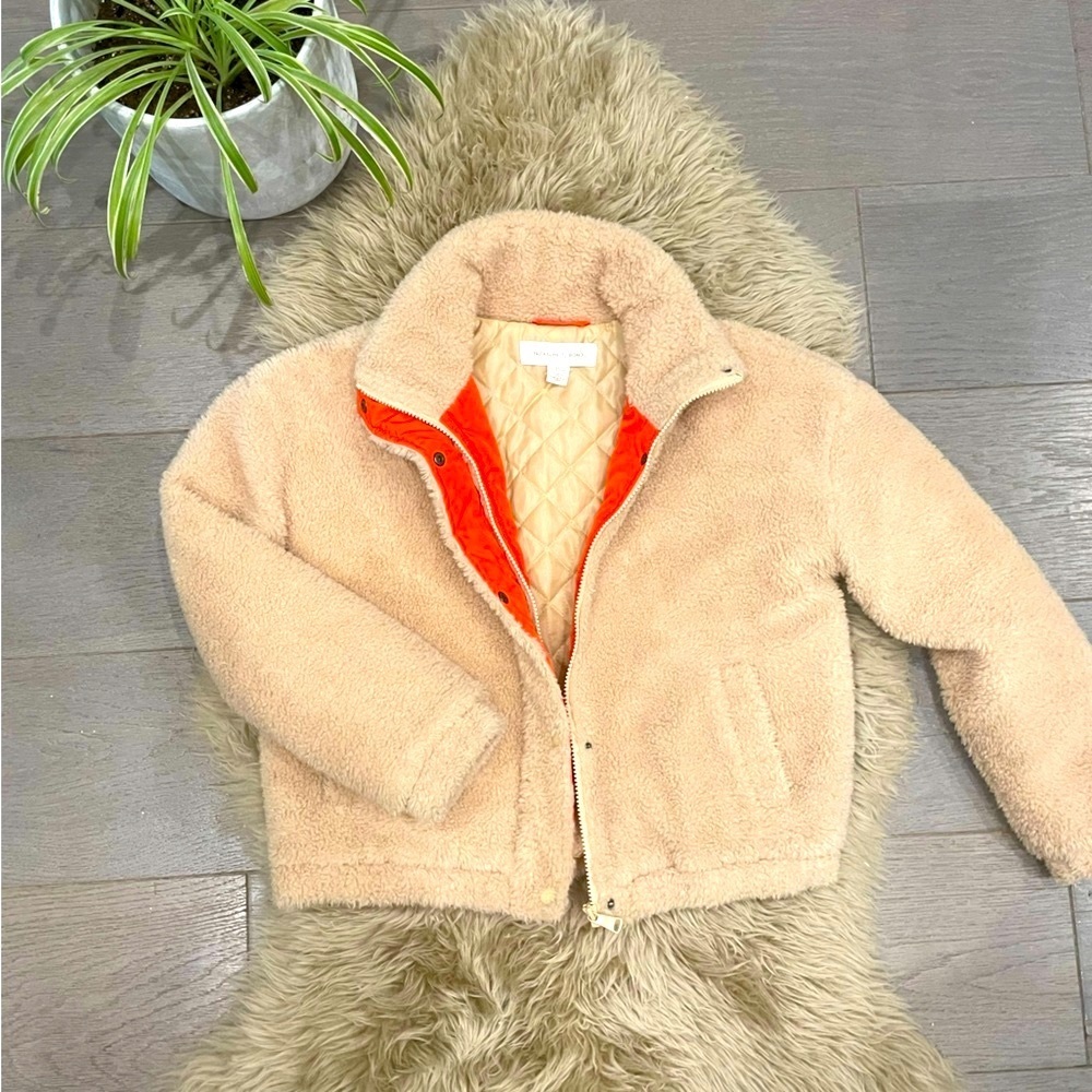 SOLD - Treasure & Bond Teddy Cropped Jacket sz 14/16 Girls or Women XS - Picture 1 of 8